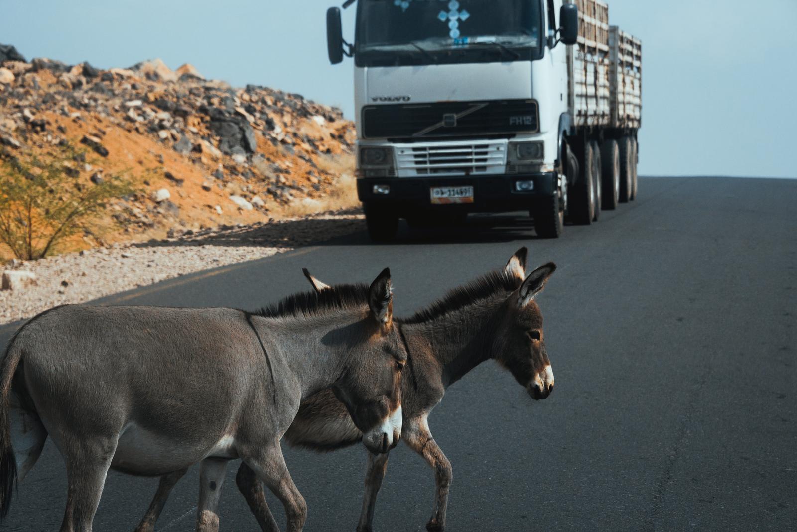 Sceneries on the Afar Route