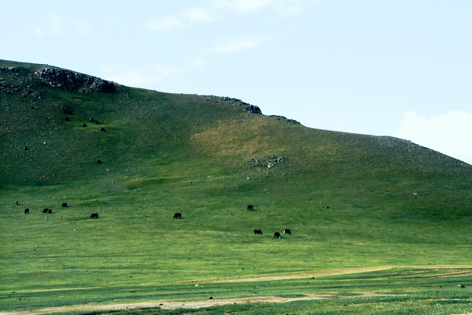 Mesmerized by the Landscape