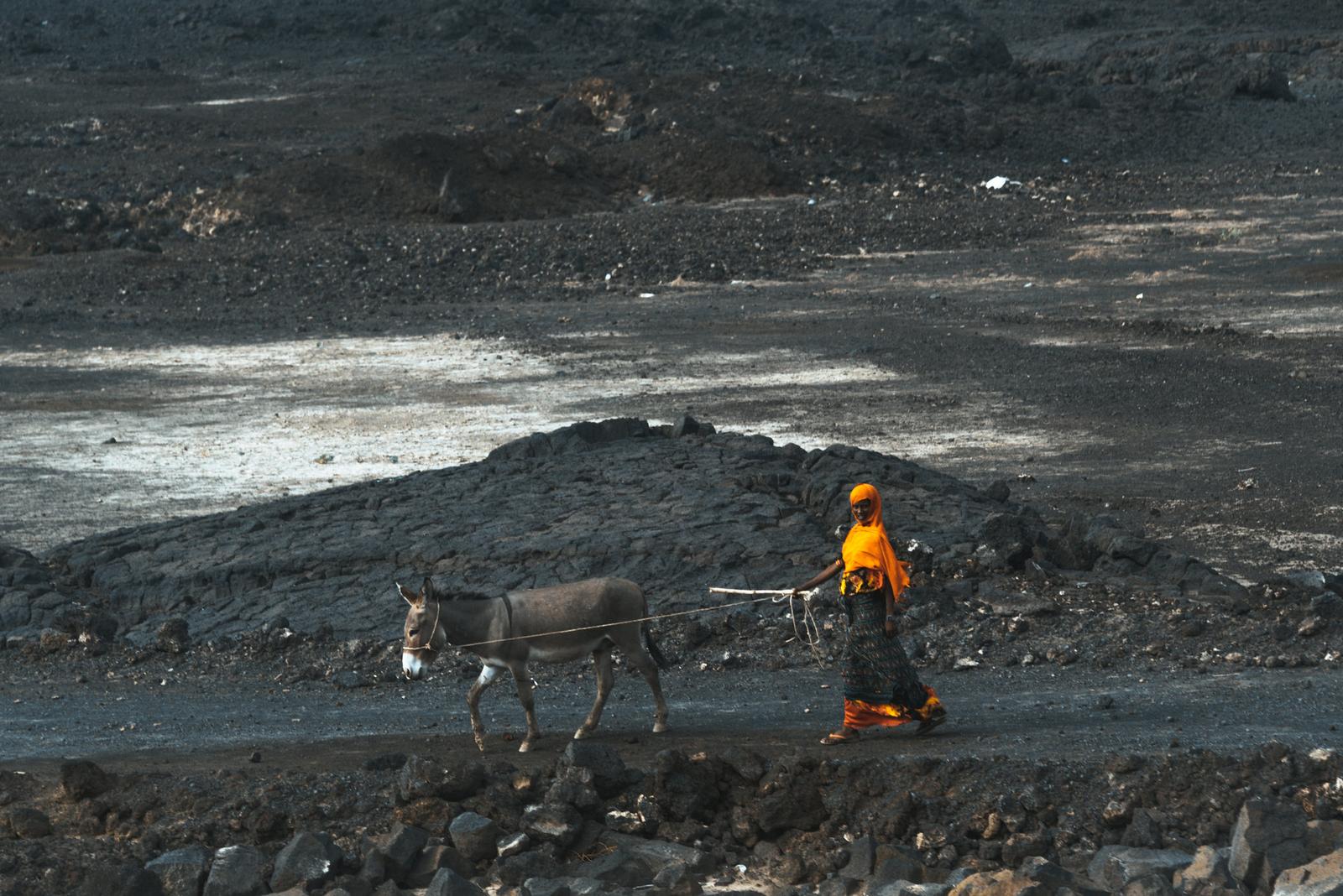 A Mule-Herding Woman