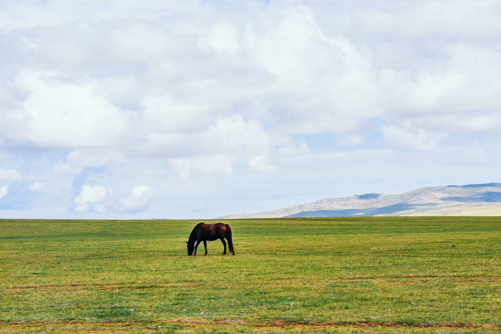 Heading towards Orkhon Valley