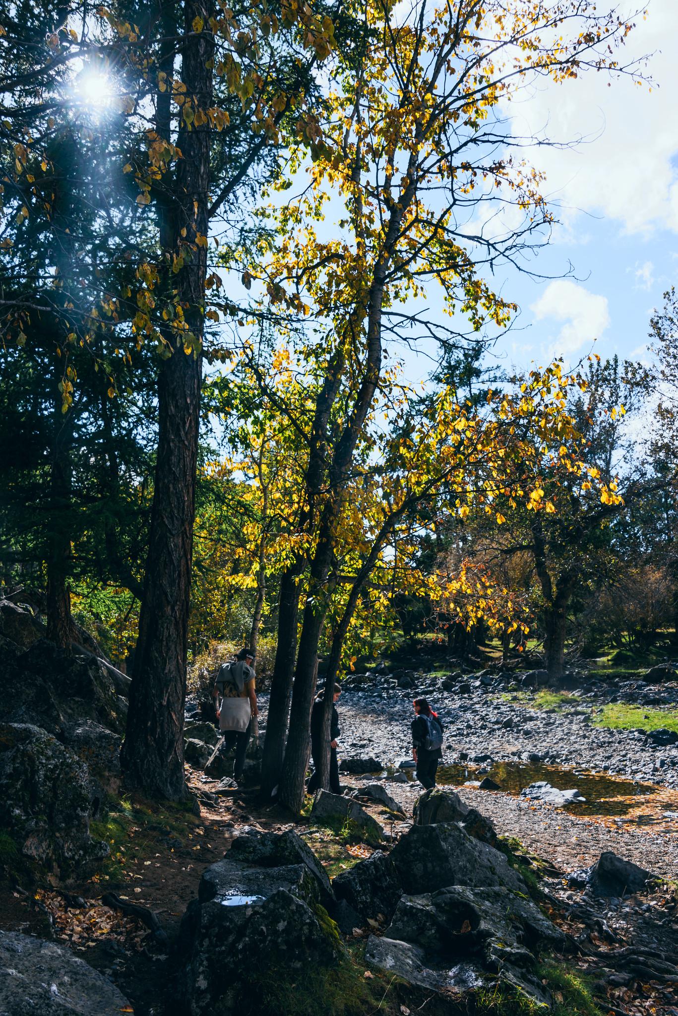 Autumn on the Banks of the Orkhon River