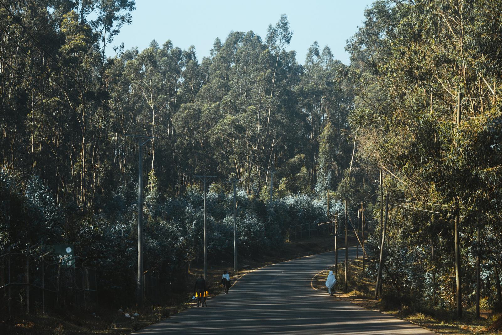 Crossing Mount Entoto