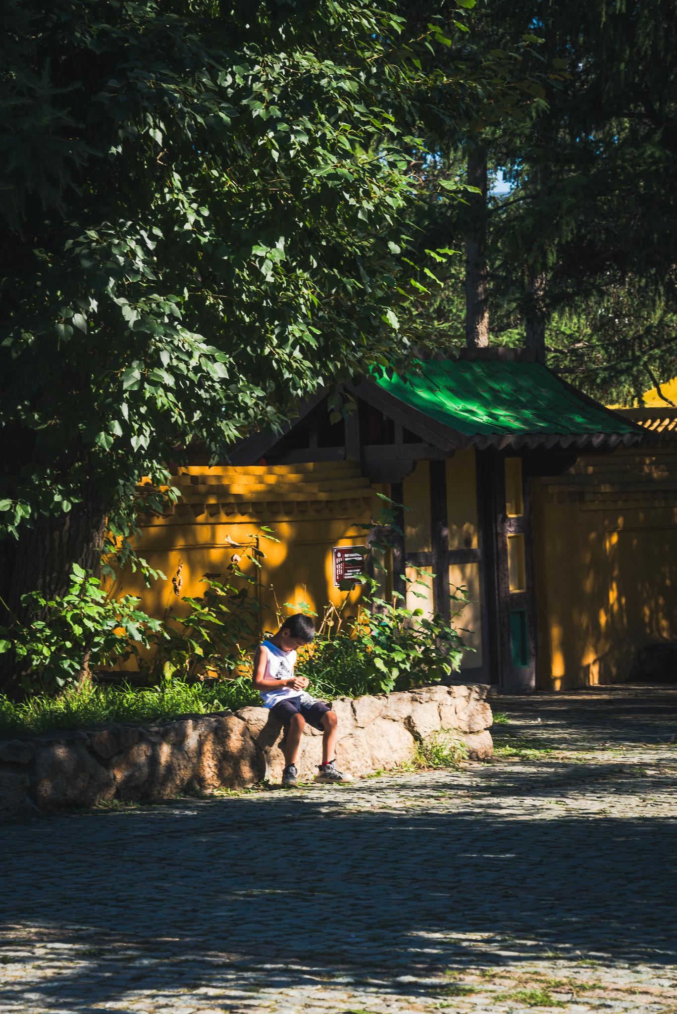 In the Shades of the Monastery