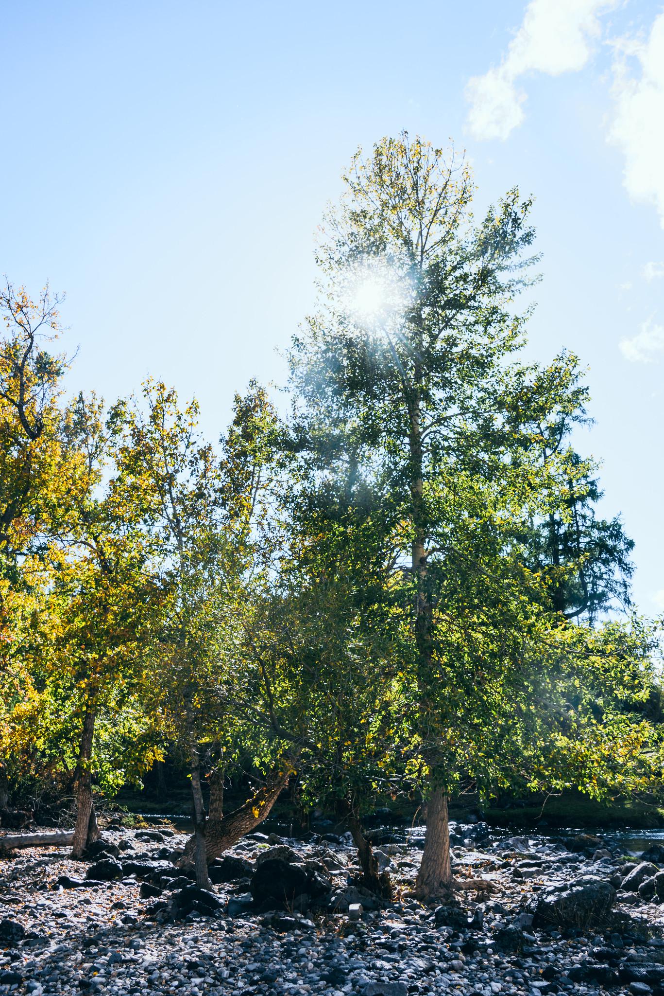 Autumn on the Banks of the Orkhon River