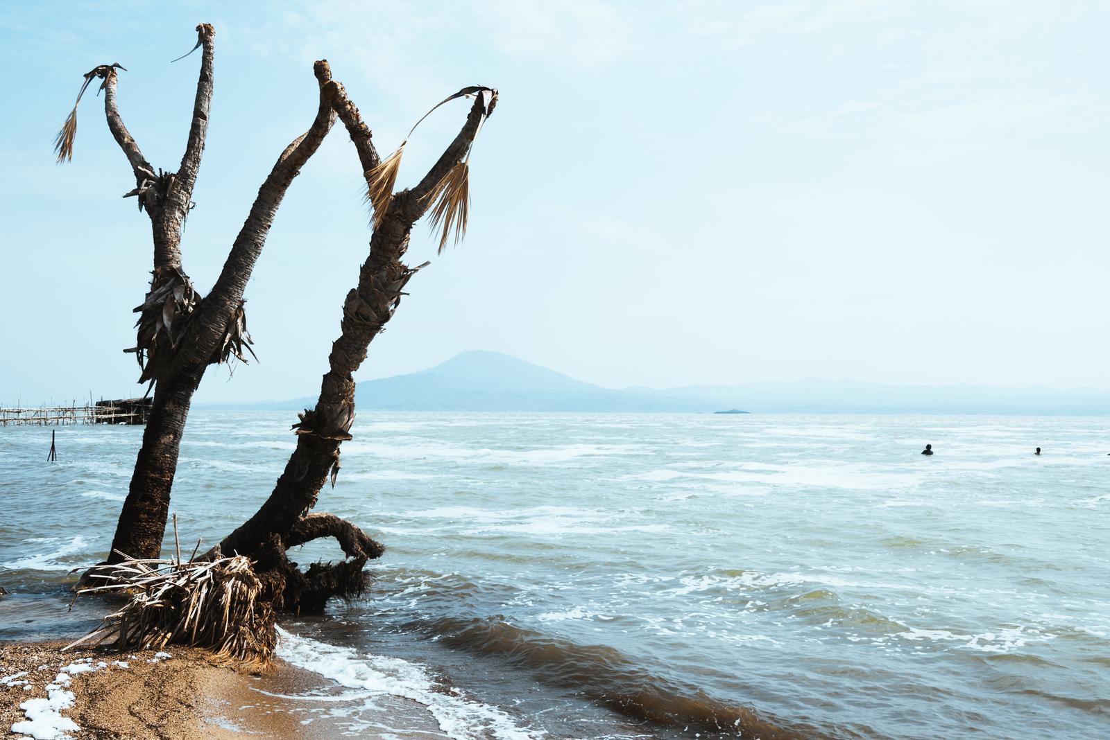 Như một bãi biển