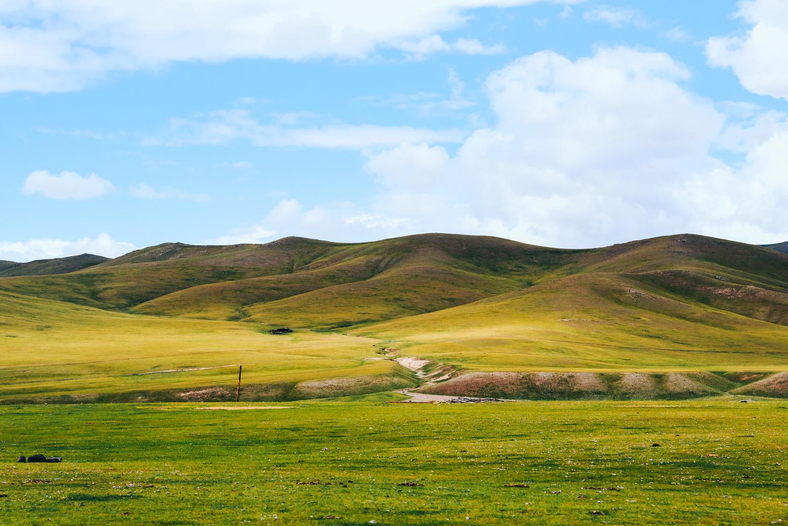 Mesmerized by the Landscape