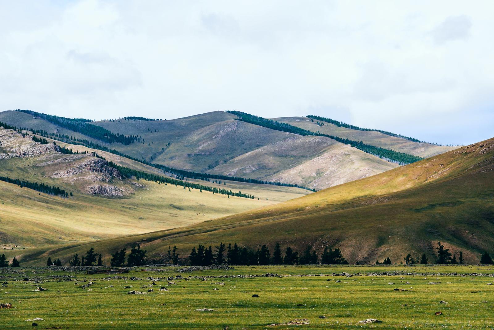 Mesmerized by the Landscape