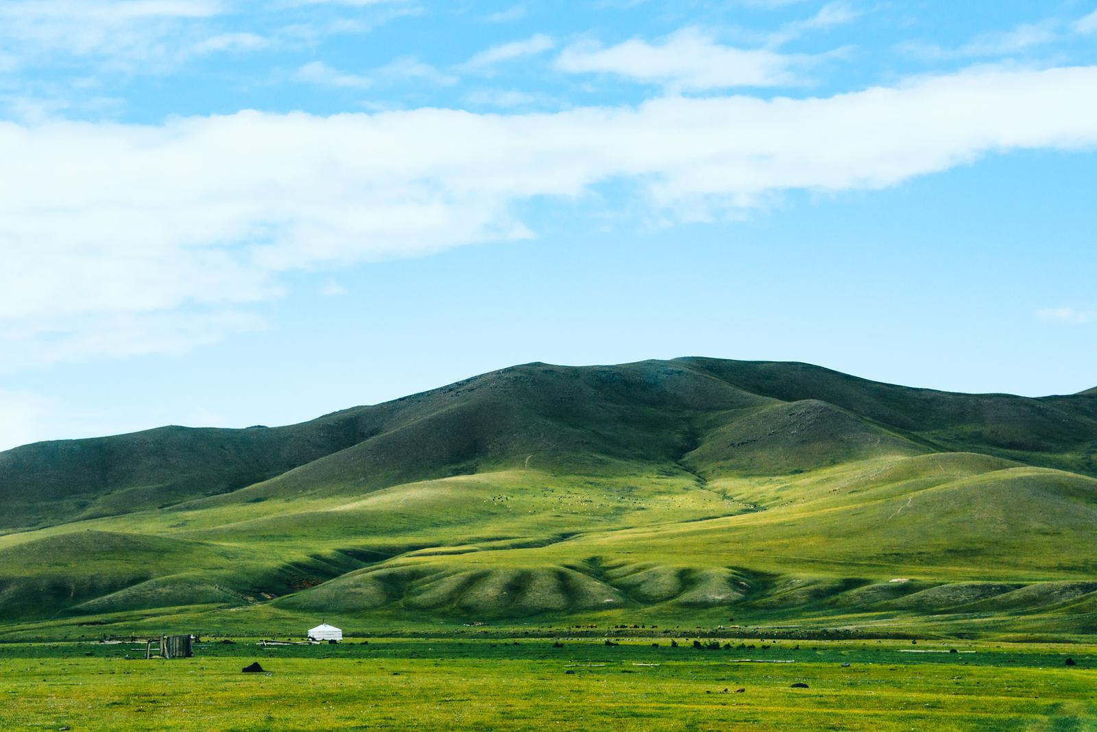 Mesmerized by the Landscape