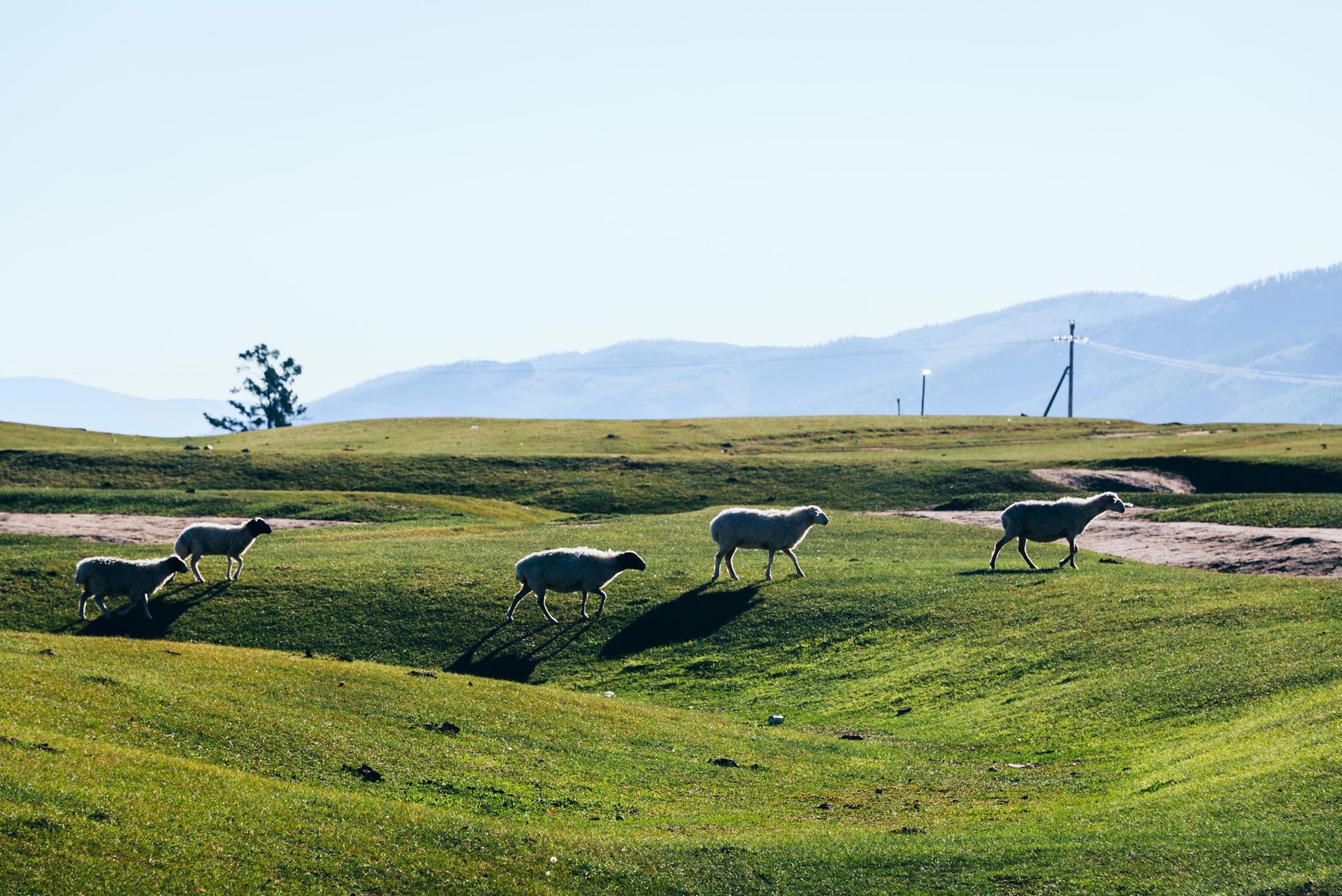 Orkhon, Sep 2024