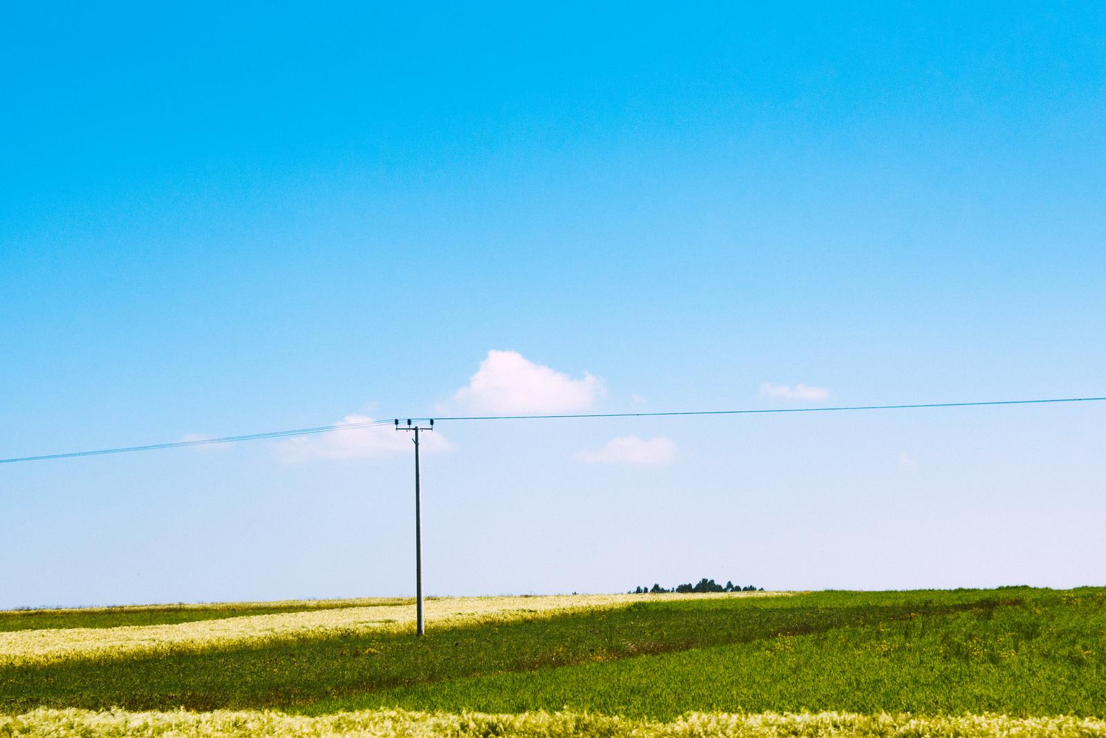 The Lush Fields